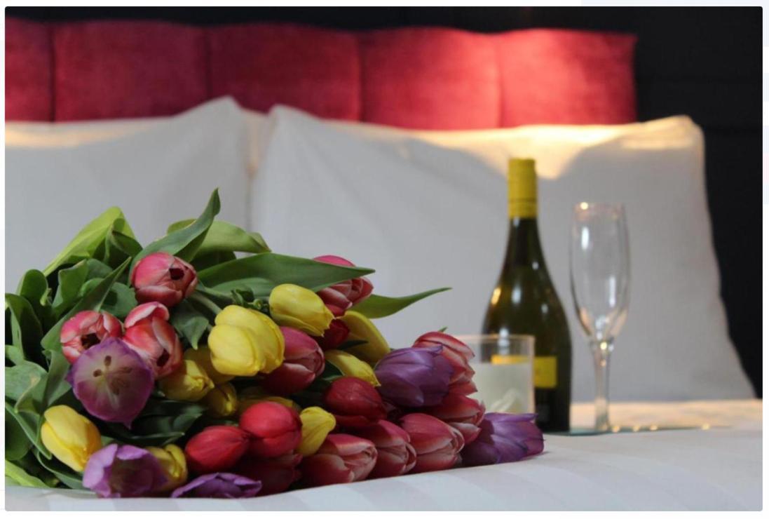 The Dutch Tulip Hotel Mallow Dış mekan fotoğraf